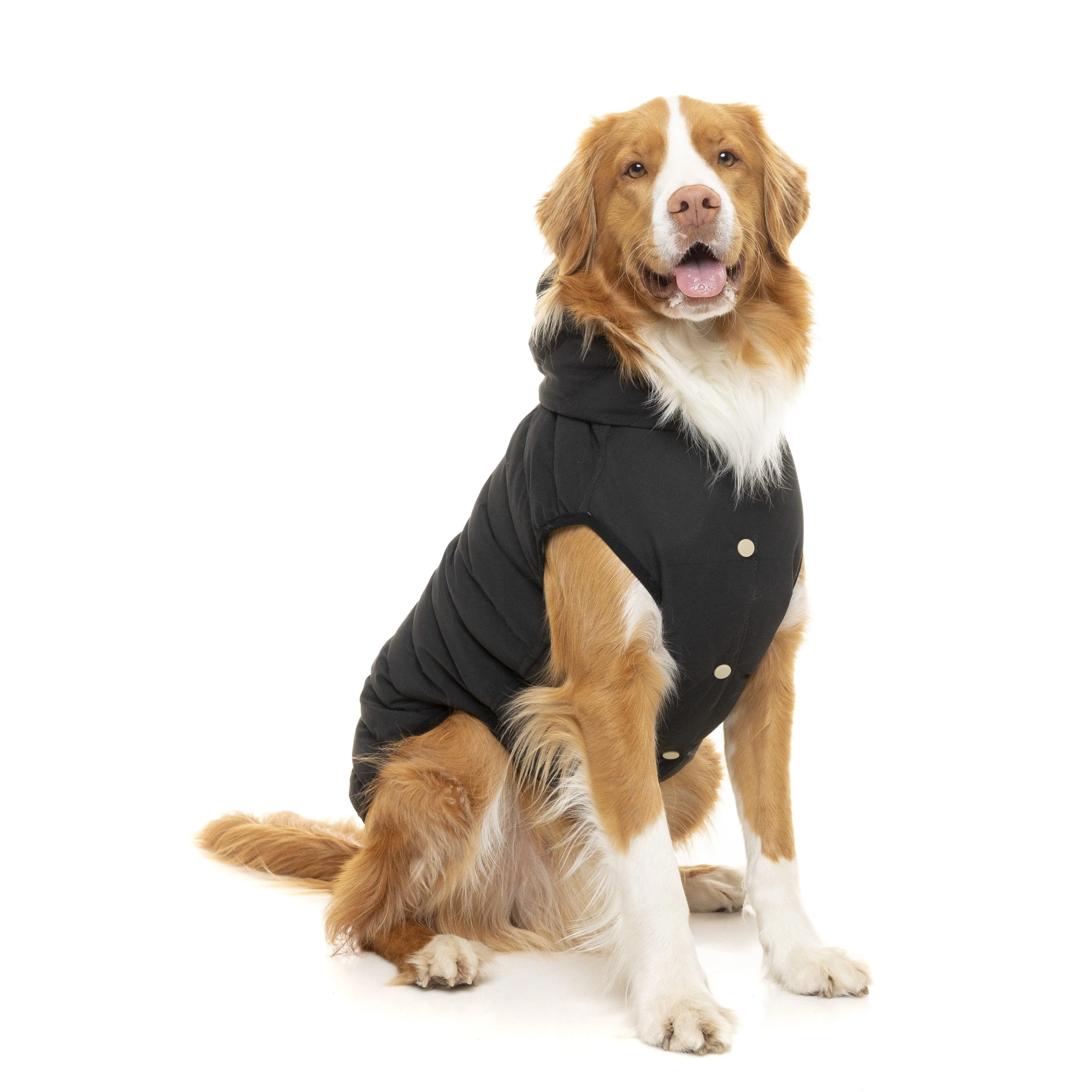 FuzzYard | Aspen Dog Jacket - Black